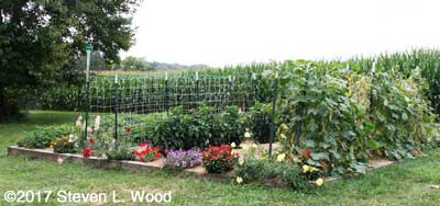Our main raised garden bed