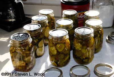 Canned Pickles