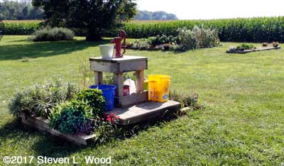Shallow well and herb garden