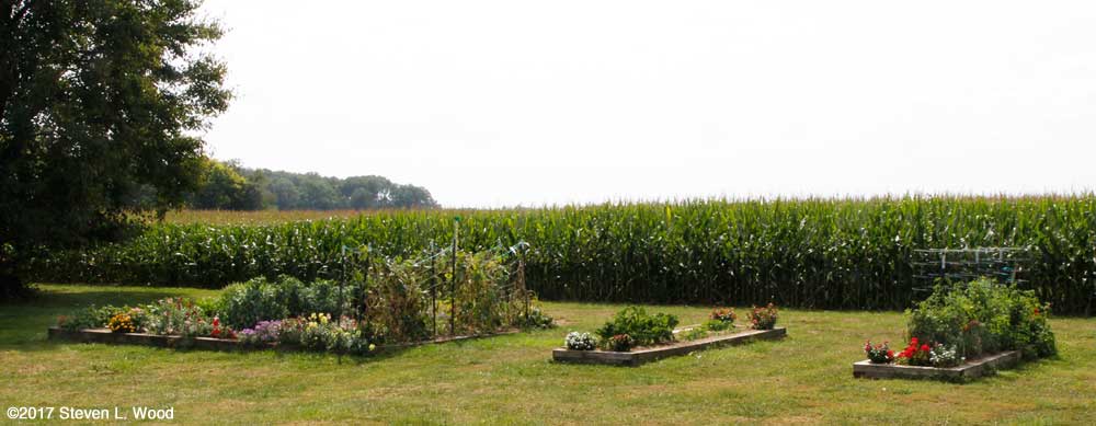 Main garden - August 31, 2017
