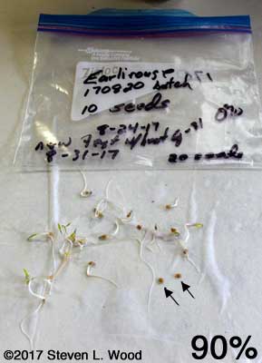 Improved germination test