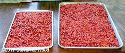 Drying kidney beans