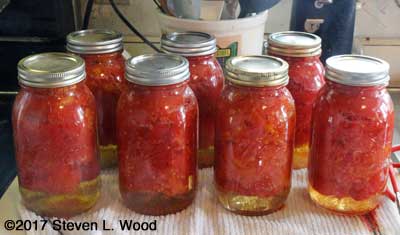 Seven more quarts of tomatoes to the pantry