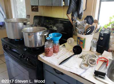 Canning kidney beans