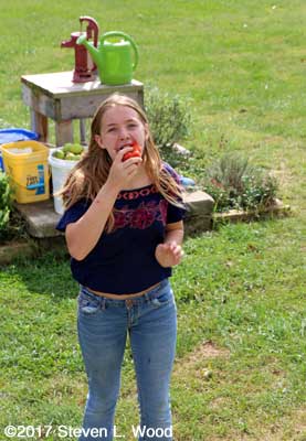 Katherine enjoys an Earlirouge tomato
