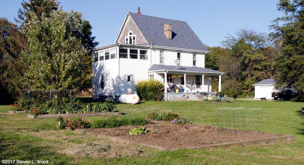 Main raised bed partially cleared