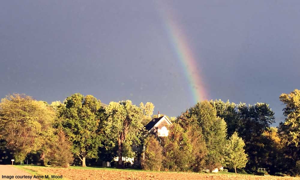 Rainbow over our Senior Garden