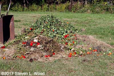 Compost pile