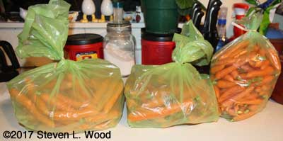 Carrots ready for storage in green bags