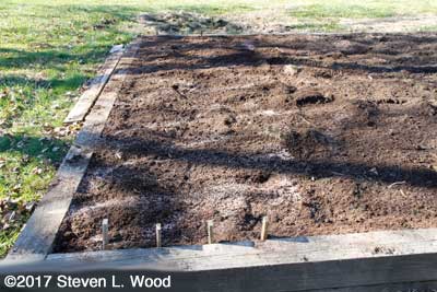 Garlic bed tilled and ready for planting