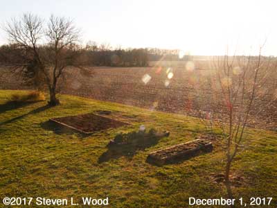 Our Senior Garden - December 1, 2017