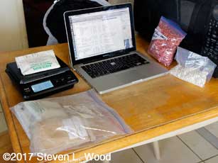 Working from kitchen table