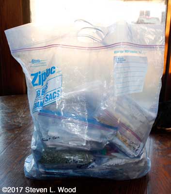 Jumbo Ziplock bag holding lots more Ziplocks filled with garden seed