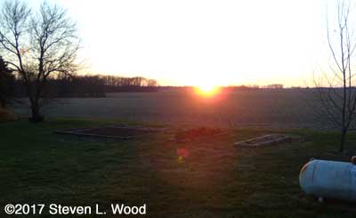 Setting sun over our Senior Garden