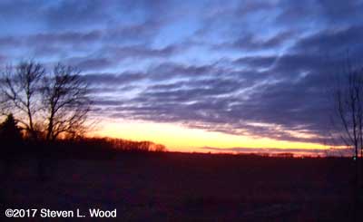 Pretty evening sky over our Senior Garden