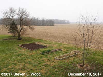 Our Senior Garden - December 18, 2017