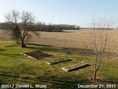 Our Senior Garden - December 21, 2017