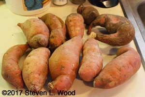 Sweet potatoes