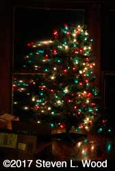 Christmas tree