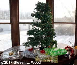 2017 Christmas Tree