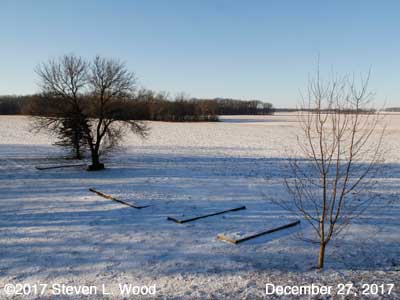 Our Senior Garden - December 27, 2017