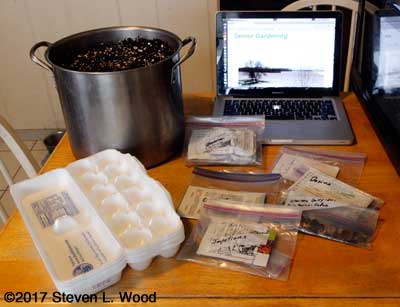 Soil, seeds, and egg cartons ready