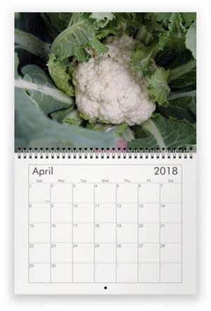 April, 2018