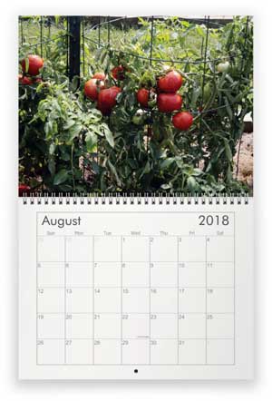 August, 2018