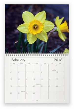 February, 2018