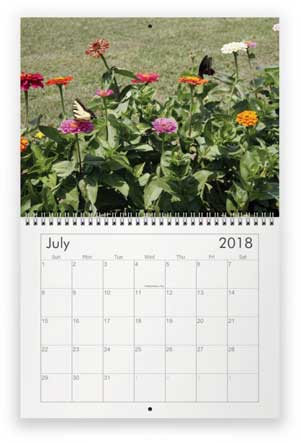 July, 2018
