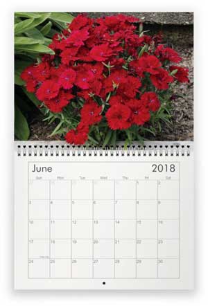 June, 2018