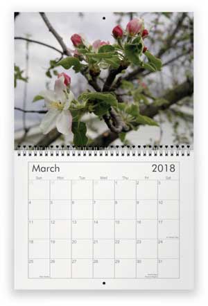 March, 2018