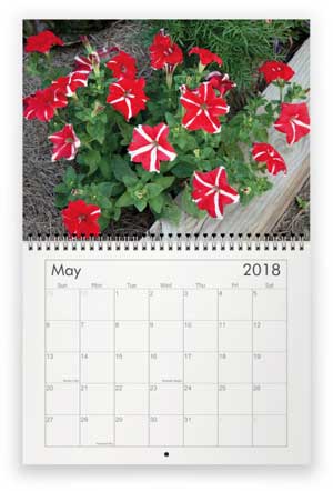 May, 2018