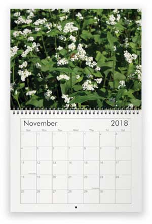 November, 2018