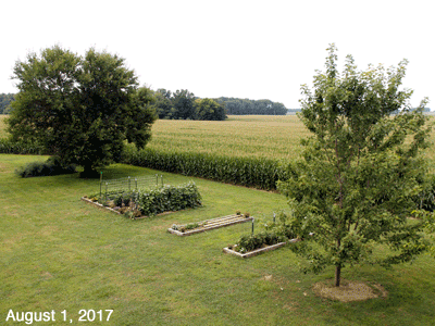 August, 2017, animated GIF of our Senior Garden