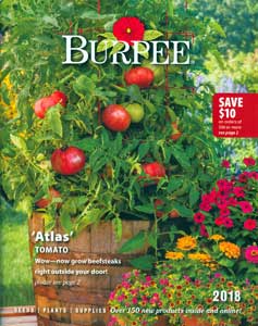 Burpee Seed Compnay