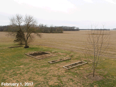 February, 2017, animated GIF of our Senior Garden