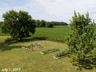 July, 2017, animated GIF of our Senior Garden