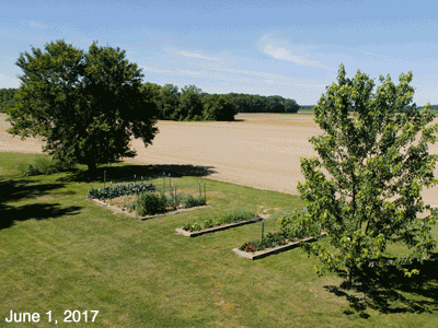 June, 2017, animated GIF of our Senior Garden
