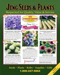 Jung Seed