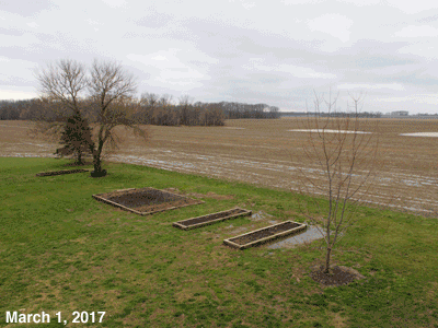 March, 2017, animated GIF of our Senior Garden