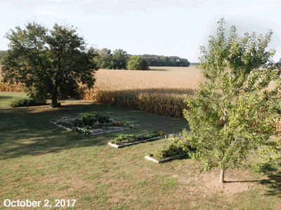 October, 2017, animated GIF of our Senior Garden