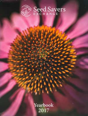 2017 SSE Yearbook Cover