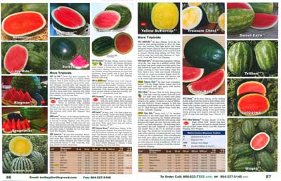 Twilley pages 86-87