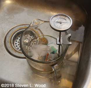 Treating tomato seeds in hot water bath