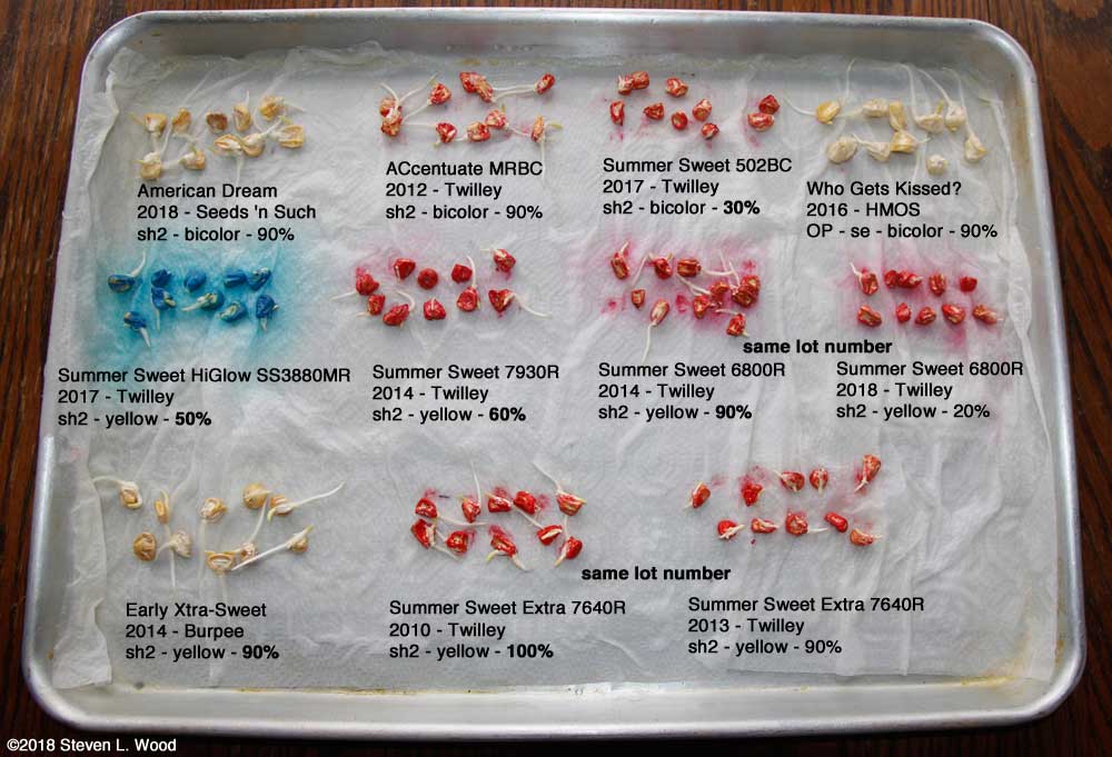 Labeled sweet corn germination tests