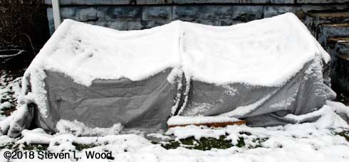 Cold frame covered with snow - April 2, 2018