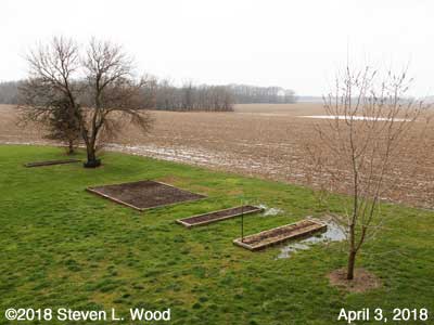 Our Senior Garden - April 3, 2018