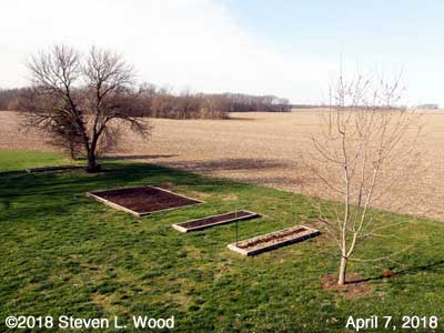Our Senior Garden - April 7, 2018