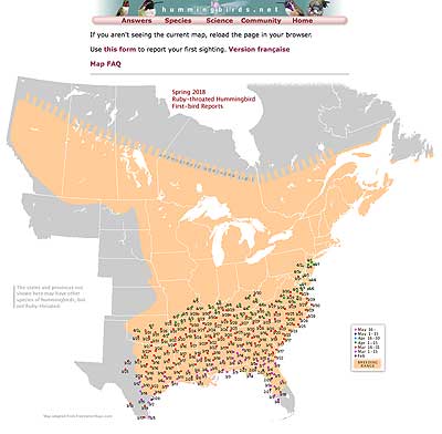 Hummingbird migration map